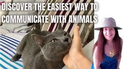 animals in dreams communication
